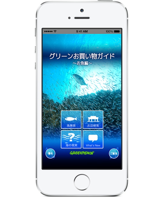 ブルーグリーンスズメダイ: 魚種プロフィール