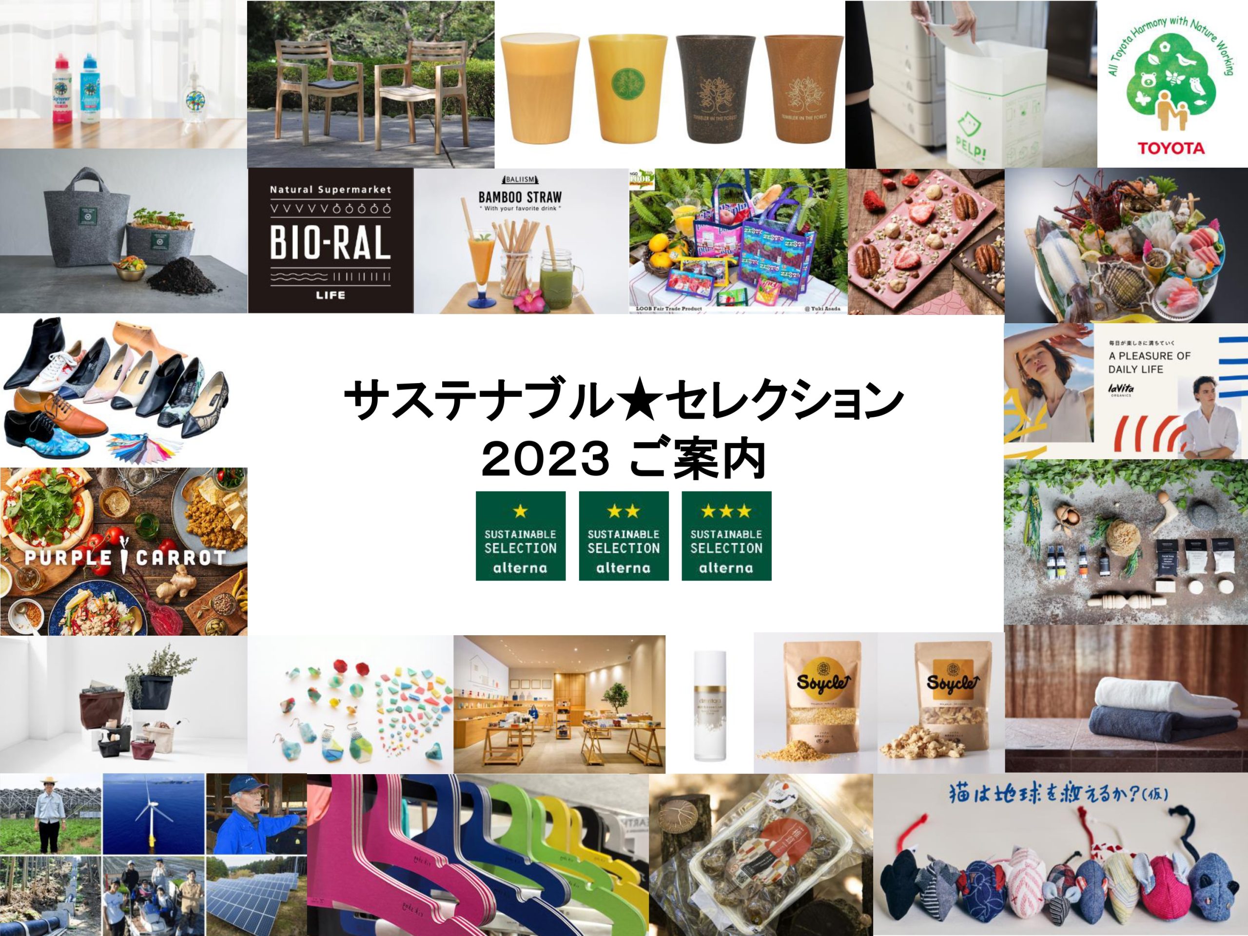 オルタナHリーフレット