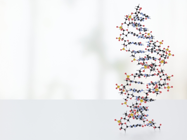 生物学者・福岡伸一教授が語る「生命は破壊と創造の連続」 - オルタナ
